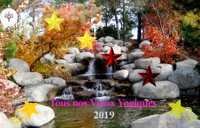 Yoga Bruz Voeux Yogiques 2019